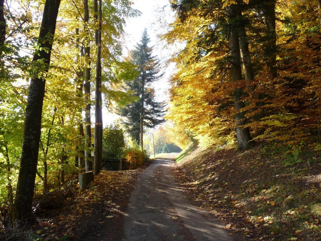 Locations Dupertuis Alsace Apartman Le Hohwald Kültér fotó