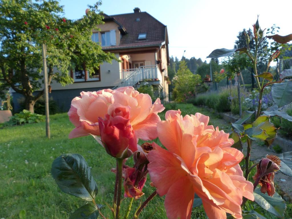 Locations Dupertuis Alsace Apartman Le Hohwald Kültér fotó