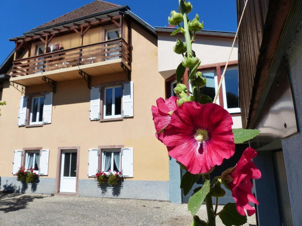 Locations Dupertuis Alsace Apartman Le Hohwald Kültér fotó